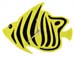 _fishClock